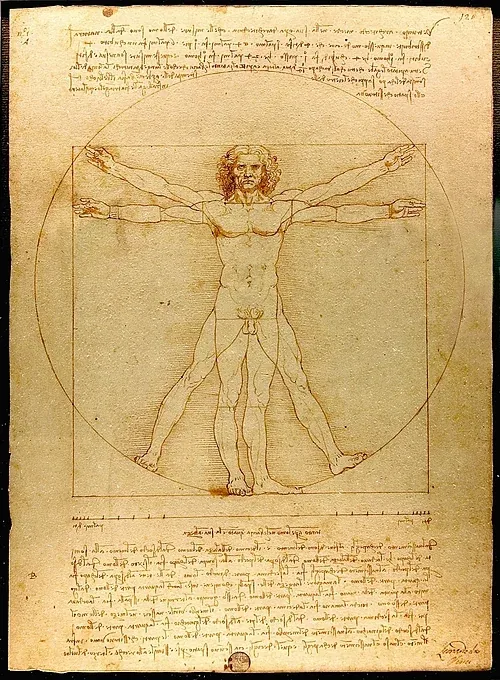 Leonardo da Vinci's Vitruvian Man (c. 1490), a male figure inscribed simultaneously in a circle centred on the navel and a square, used for Vitruvian calibration.
